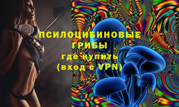 каннабис Белокуриха